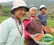 An Entire Country Goes Organic